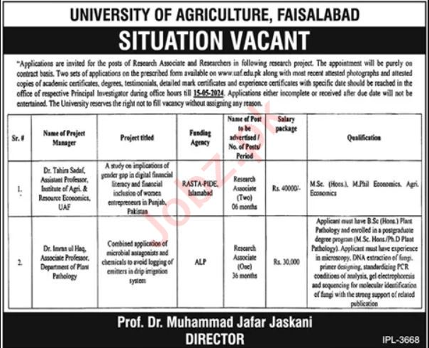 University of Agriculture UAF Research Jobs Faisalabad