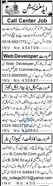 Web Developer And Accountant Management Jobs